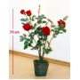 Розовый куст  0780A
